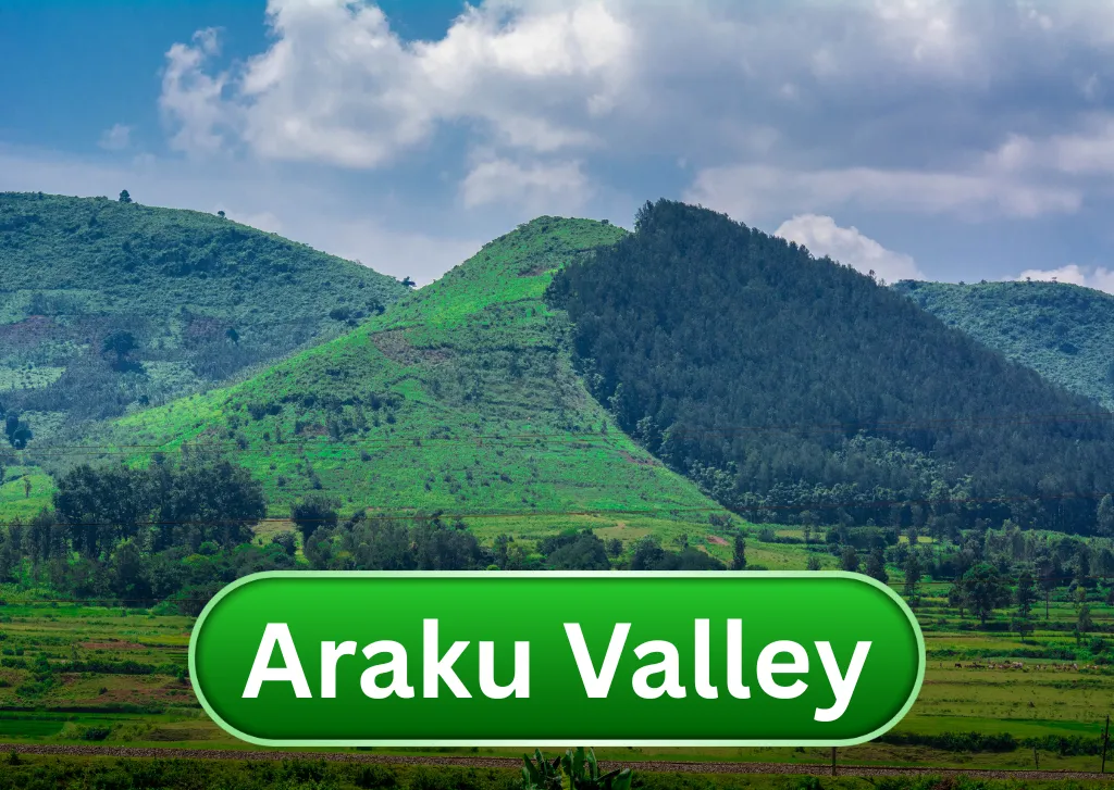 Andhra & Karnataka (6)